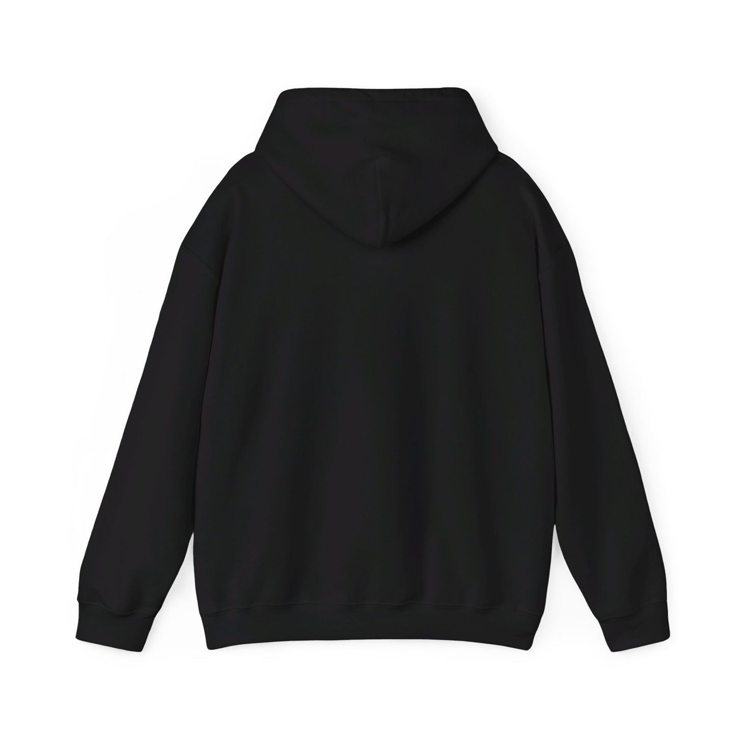 "2K is a bad game" Black Hoodie