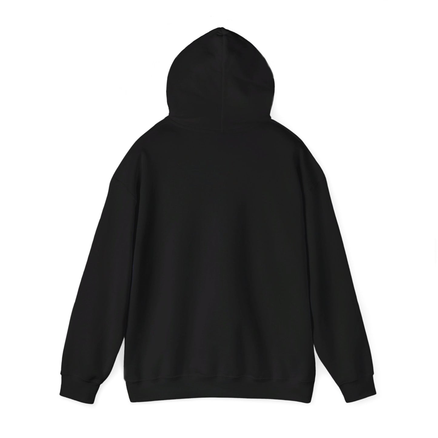 "2K is a bad game" Black Hoodie